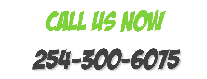 tel:+1-2543006075
